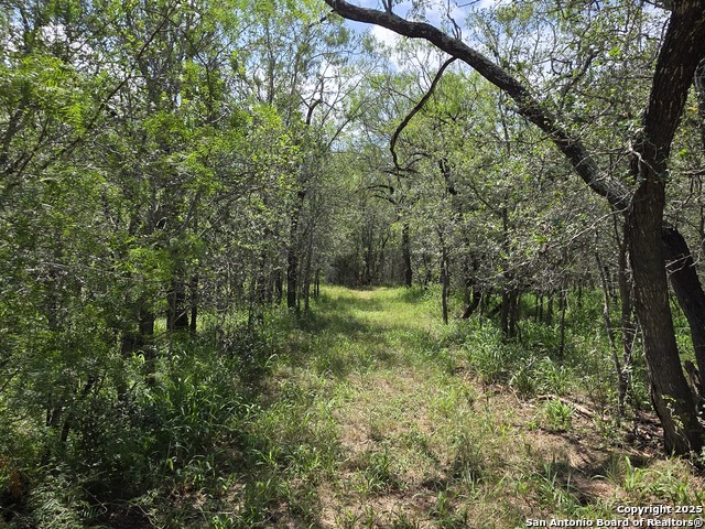 Image 2 of 15 For 645 Marrou Rd.