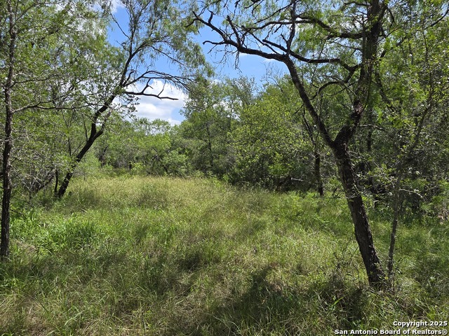 Image 3 of 15 For 645 Marrou Rd.