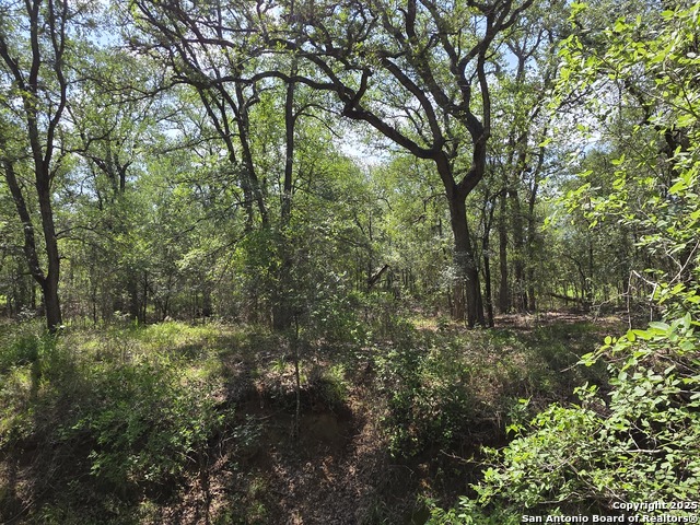 Image 4 of 15 For 645 Marrou Rd.