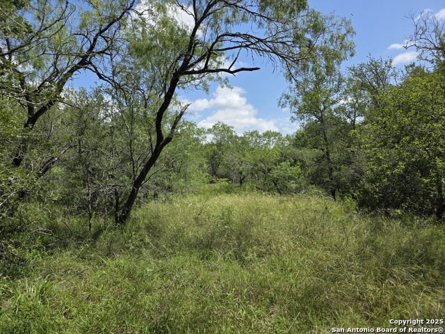 Image 5 of 15 For 645 Marrou Rd.