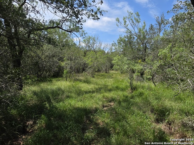 Image 6 of 15 For 645 Marrou Rd.