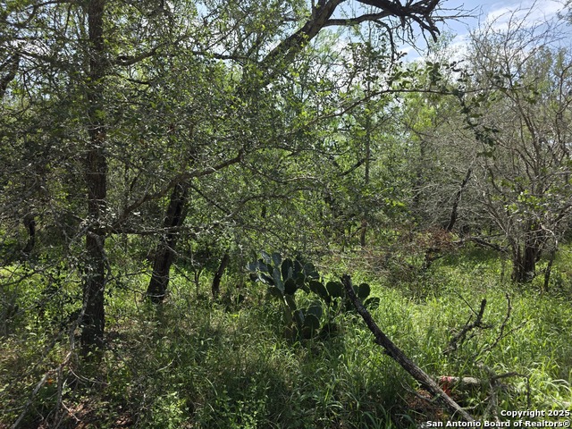 Image 7 of 15 For 645 Marrou Rd.