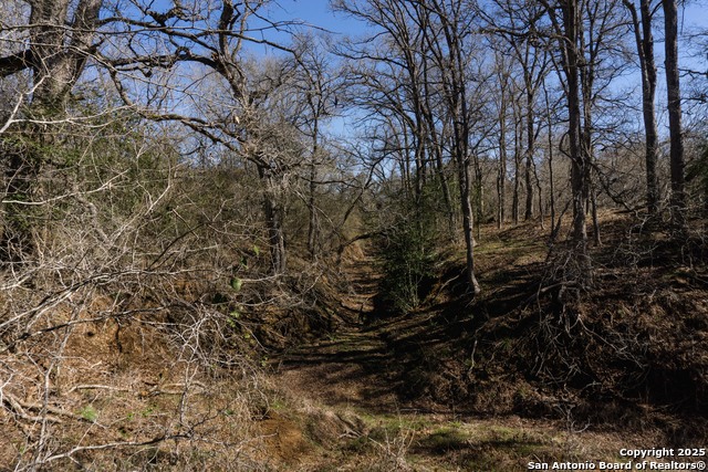Image 8 of 15 For 645 Marrou Rd.