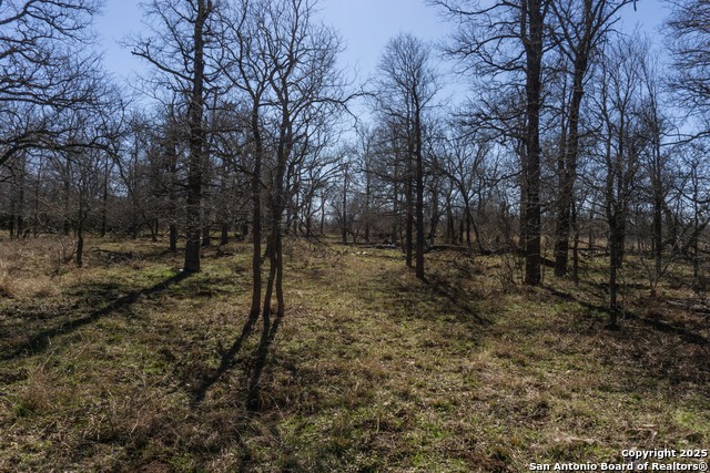Image 9 of 15 For 645 Marrou Rd.