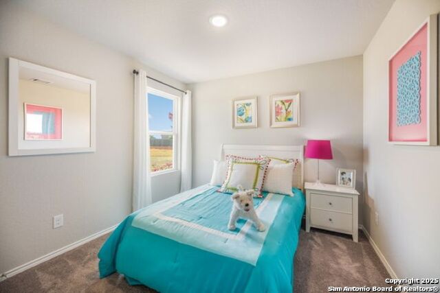 Image 18 of 22 For 212 Agave Circle