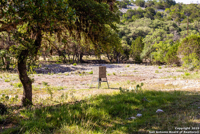 Listing photo id 19 for 14910 Bullhead Rd