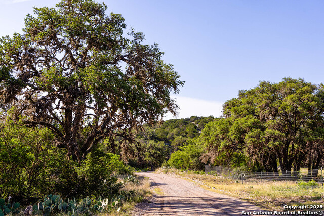 Listing photo id 23 for 14910 Bullhead Rd