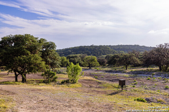 Listing photo id 28 for 14910 Bullhead Rd