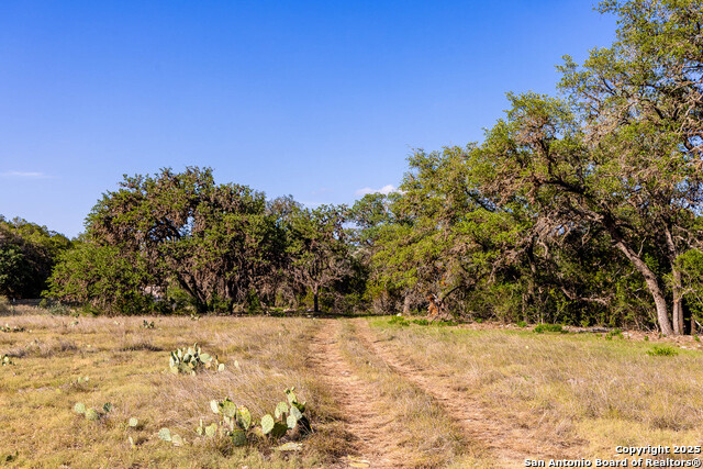 Listing photo id 2 for 14910 Bullhead Rd