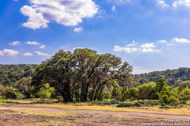Listing photo id 39 for 14910 Bullhead Rd