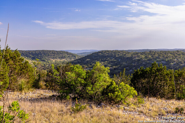 Listing photo id 41 for 14910 Bullhead Rd