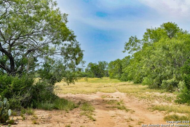 Listing photo id 10 for 4978 County Road 427