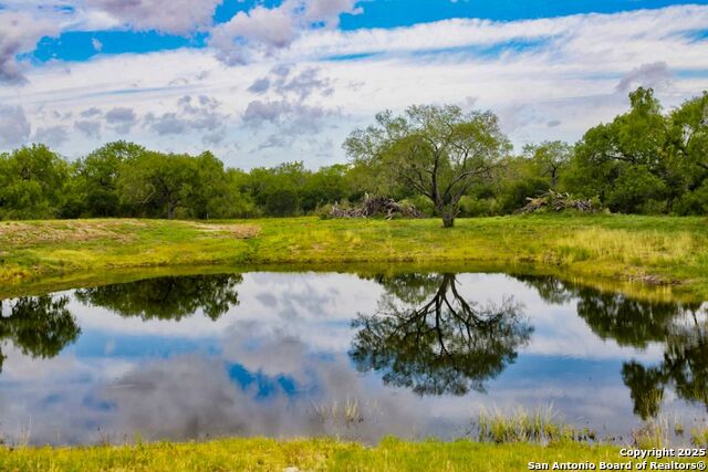 Listing photo id 13 for 4978 County Road 427