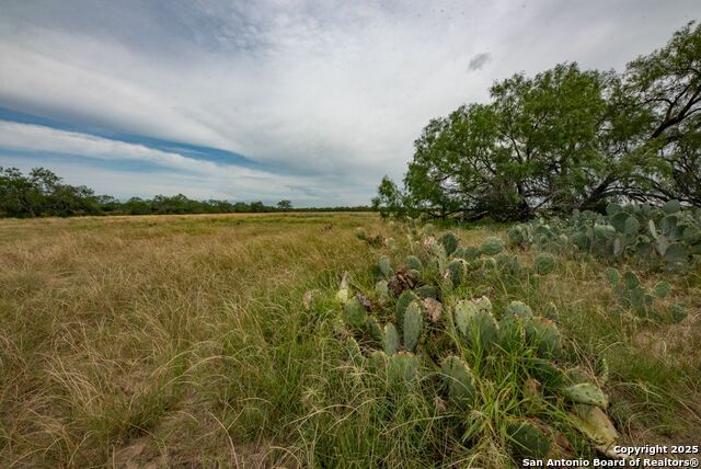 Listing photo id 21 for 4978 County Road 427