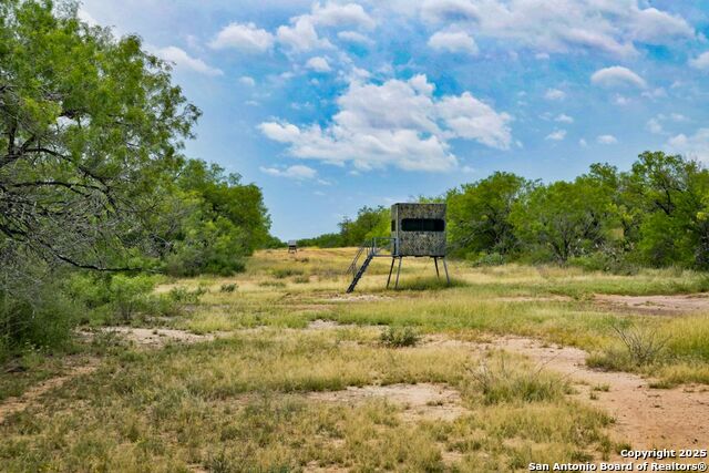 Listing photo id 23 for 4978 County Road 427