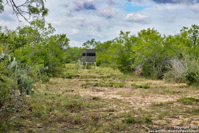Listing photo id 24 for 4978 County Road 427