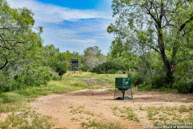 Listing photo id 25 for 4978 County Road 427