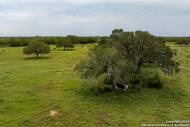 Listing photo id 27 for 4978 County Road 427