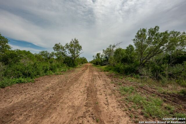 Listing photo id 29 for 4978 County Road 427