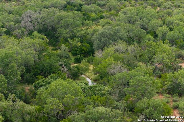 Listing photo id 30 for 4978 County Road 427