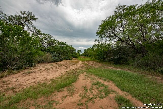 Listing photo id 33 for 4978 County Road 427