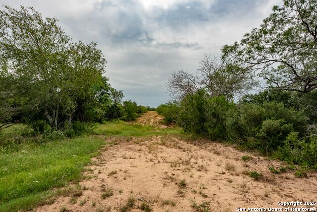 Listing photo id 40 for 4978 County Road 427