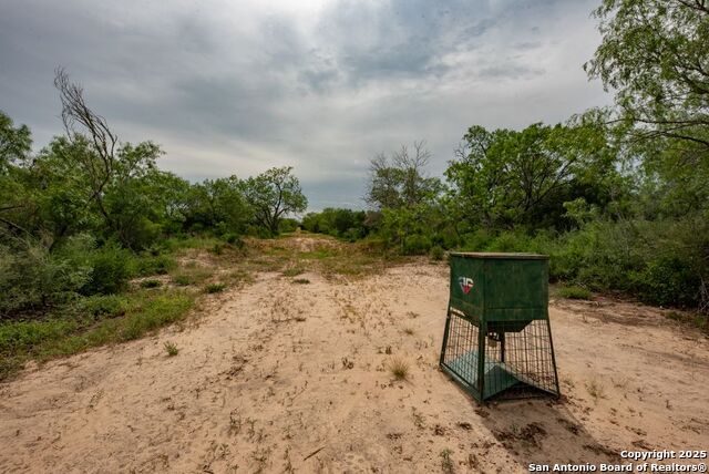 Listing photo id 47 for 4978 County Road 427