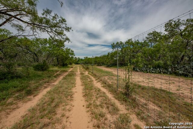 Listing photo id 49 for 4978 County Road 427