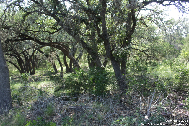 Image 11 of 13 For 2221 Ranch Rd 337 W