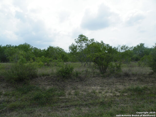 Image 3 of 7 For 618 County Road 154