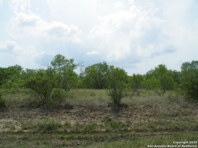 Image 7 of 7 For 618 County Road 154