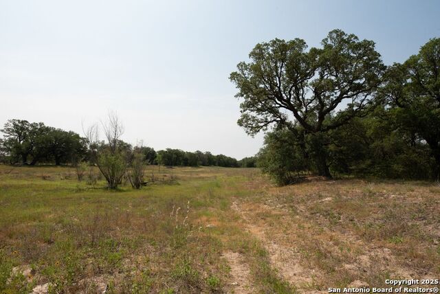 Listing photo id 9 for 1003 County Road 334