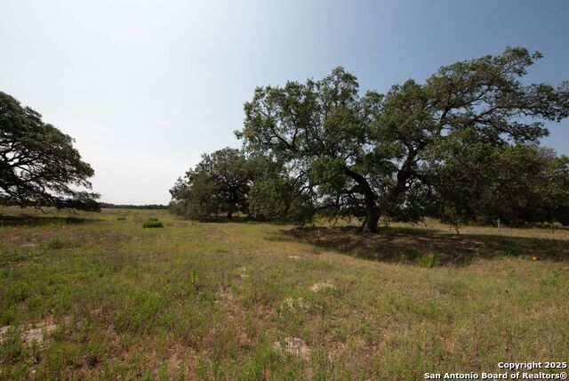 Listing photo id 14 for 1003 County Road 334