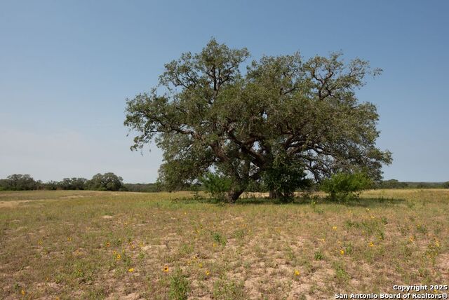 Listing photo id 15 for 1003 County Road 334