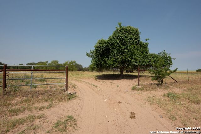 Listing photo id 16 for 1003 County Road 334