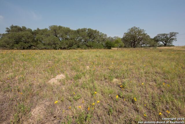 Listing photo id 26 for 1003 County Road 334