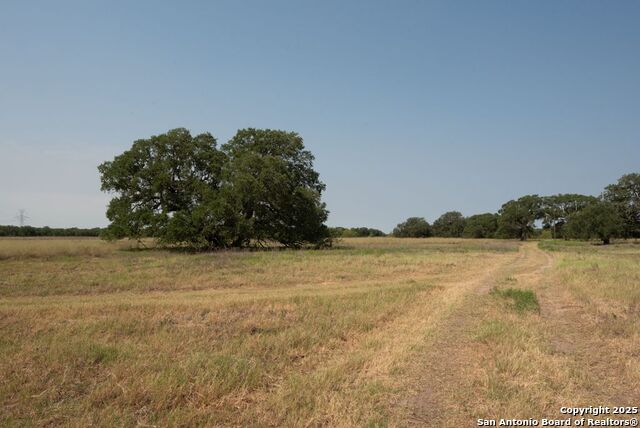 Listing photo id 5 for 1003 County Road 334