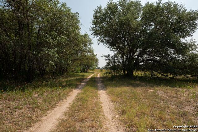 Listing photo id 6 for 1003 County Road 334