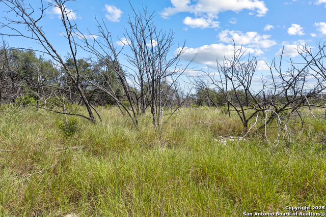 Image 10 of 16 For Lot 20 County Road 2652