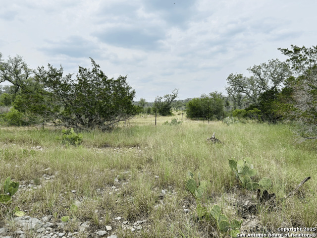 Image 4 of 16 For Lot 20 County Road 2652