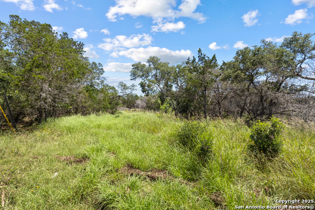 Image 8 of 16 For Lot 20 County Road 2652
