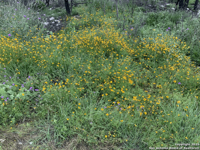 Image 9 of 16 For Lot 20 County Road 2652