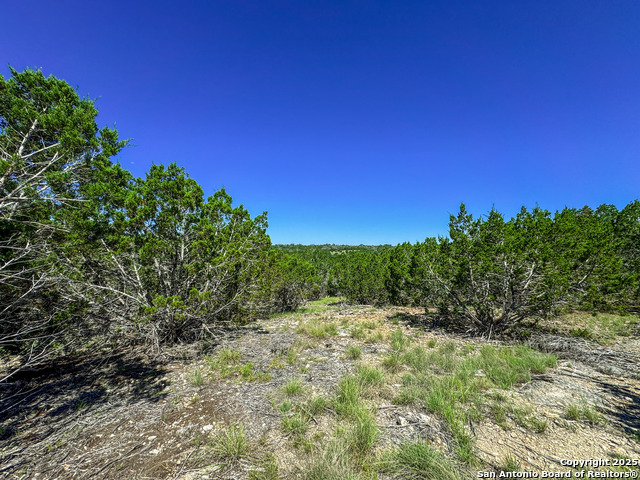 Listing photo id 9 for Lot 20 Loma Vista Ranch