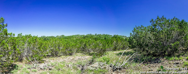 Listing photo id 10 for Lot 20 Loma Vista Ranch