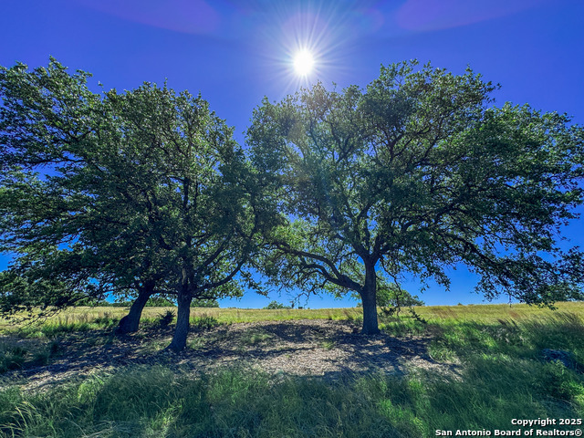 Listing photo id 14 for Lot 20 Loma Vista Ranch