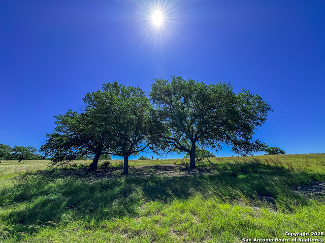 Listing photo id 15 for Lot 20 Loma Vista Ranch