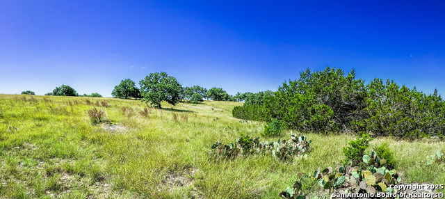 Listing photo id 6 for Lot 20 Loma Vista Ranch