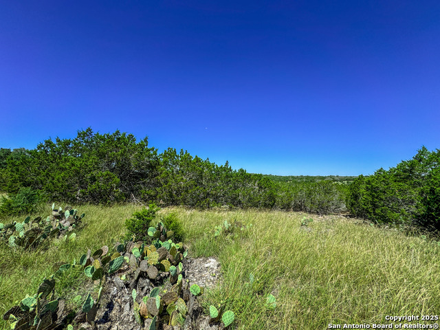 Listing photo id 7 for Lot 20 Loma Vista Ranch