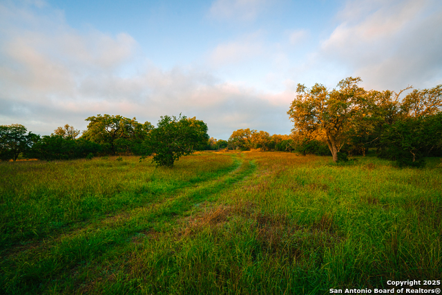Details for 000 Running Buck, Spring Branch, TX 78070