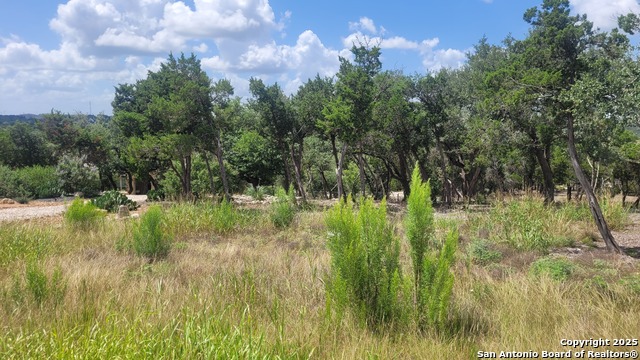 Image 4 of 5 For 1466 Chianti